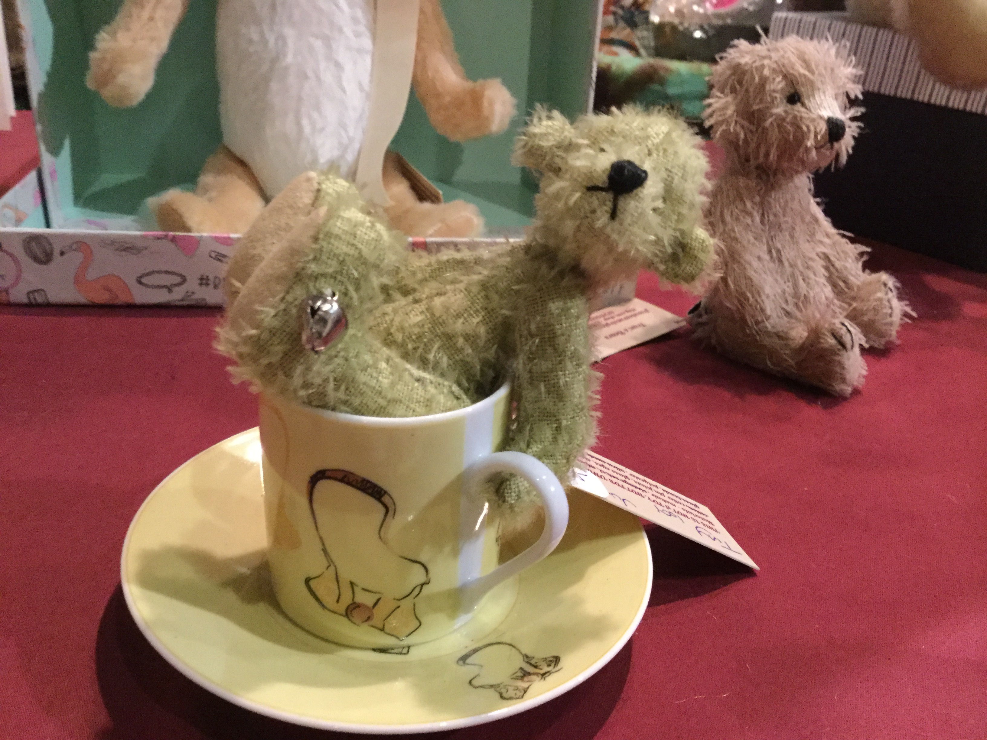 IMG_6586 Green teddy bear in a teacup and saucer.